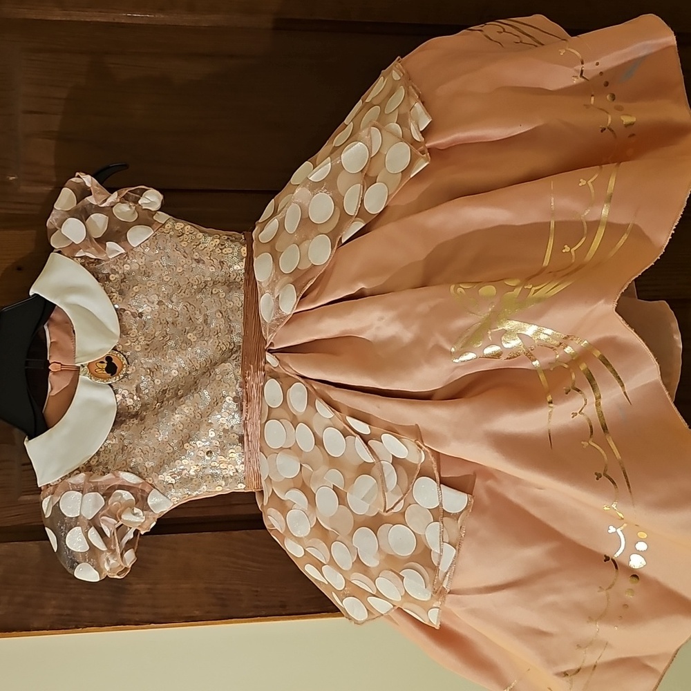 Minnie Mouse Prestige Rose Gold Costume